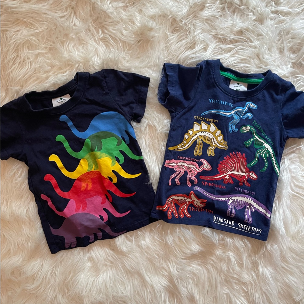 Navy Dinosaur Tshirts set
